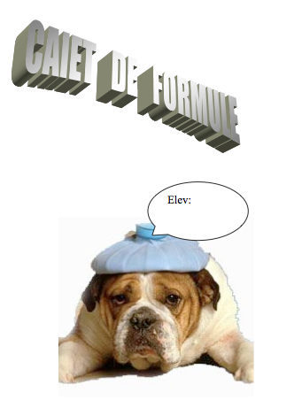 Caiet Formule